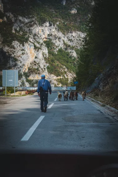 montenegro - IMG_6930_LR.jpg