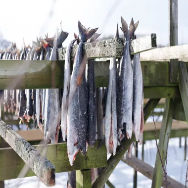 Norvege - IMG_6924_LR.jpg