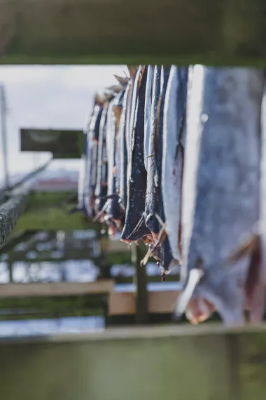 Norvege - IMG_6938_LR.jpg