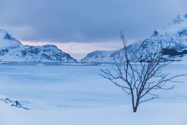 Norvege - IMG_7316_LR.jpg