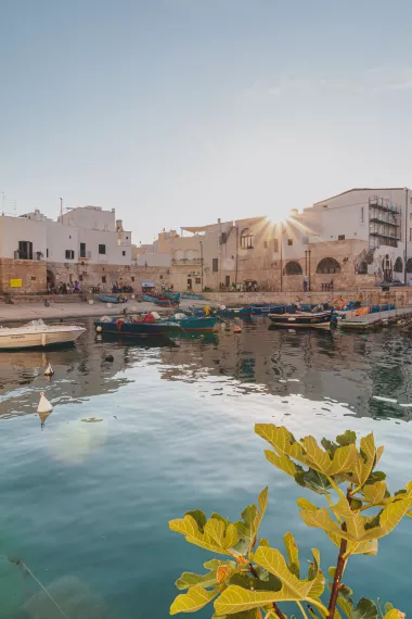 puglia - IMG_6543_LR.jpg