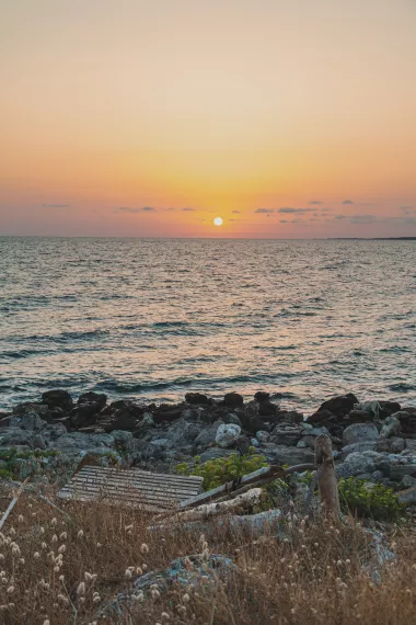 puglia - IMG_7332_LR.jpg