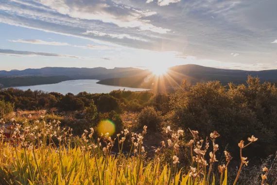 puglia - IMG_8090_LR.jpg